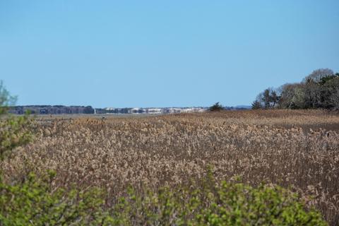 280 Main St, West Barnstable, MA 02668 photo 25