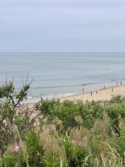 115 Viola Rd, Eastham, MA 02642 photo 42