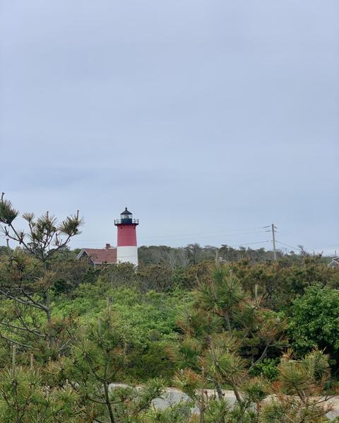 115 Viola Rd, Eastham, MA 02642 photo 40