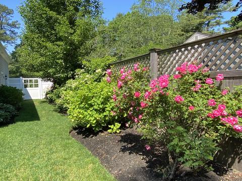 26 Cedar Ln, Osterville, MA 02655 photo 30