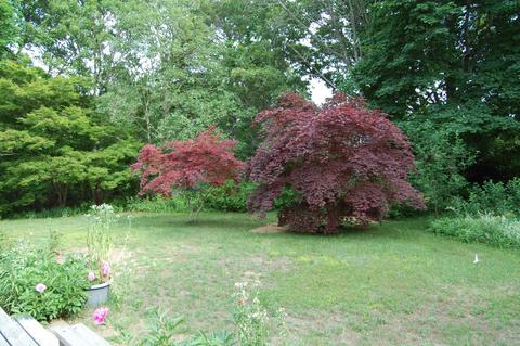164 Samoset Rd, Eastham, MA 02642 photo 31