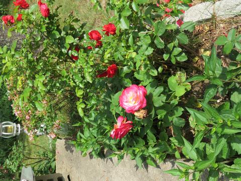 400 Schoolhouse Rd, Eastham, MA 02642 photo 13