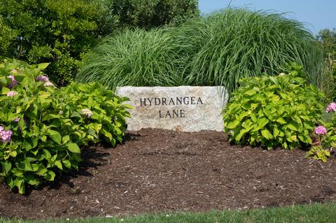 7 Hydrangea Ln, Nantucket, MA 02554 photo 6