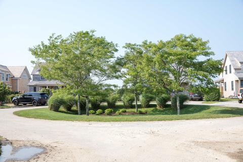 7 Hydrangea Ln, Nantucket, MA 02554 photo 7