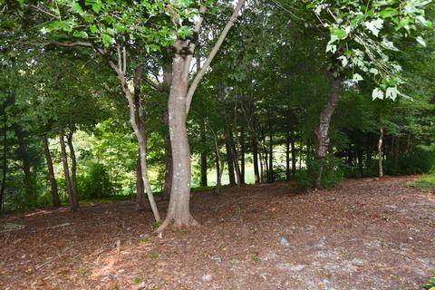 23 N Ridge Rd, Mashpee, MA 02649 photo 13