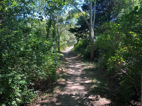 45 Swift Rd, Eastham, MA 02642 photo 5