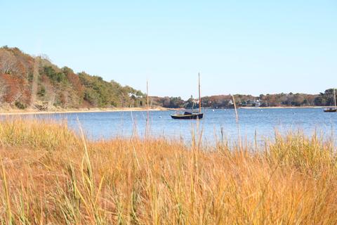 462 Putnam Ave, Cotuit, MA 02635 photo 36