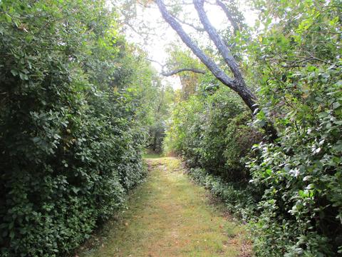 700 Samoset Rd, Eastham, MA 02642 photo 38