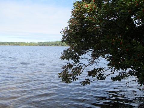 700 Samoset Rd, Eastham, MA 02642 photo 37