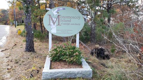 15 Childs Rd, Mashpee, MA 02649 photo 6