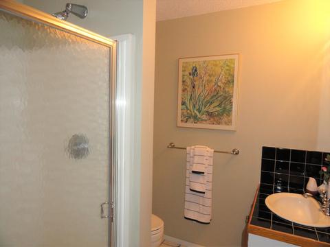 3 Riverview Ave #D, Mashpee, MA 02649 photo 5