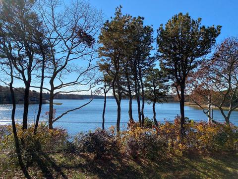 3 Riverview Ave #D, Mashpee, MA 02649 photo 1