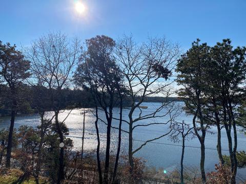 3 Riverview Ave #D, Mashpee, MA 02649 photo 14