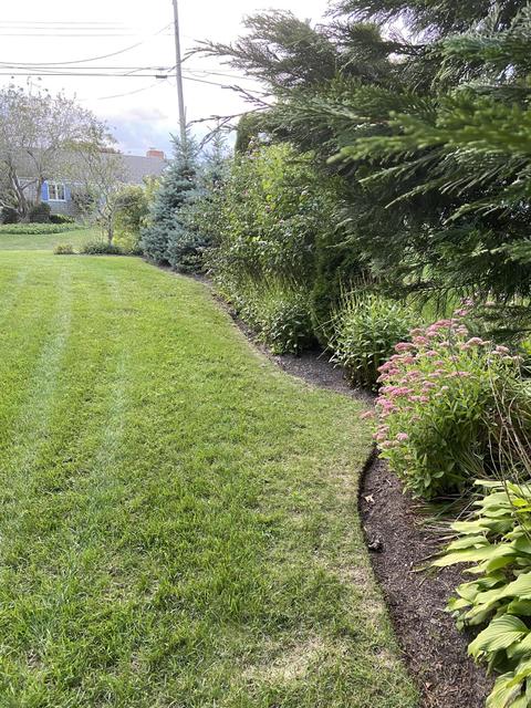 54 Cinnamon Ln, Osterville, MA 02655 photo 39