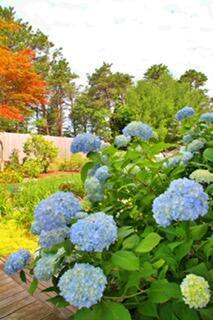 400 Locust Rd, Eastham, MA 02642 photo 39