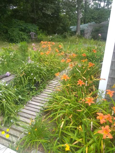 565 Higgins Rd, Eastham, MA 02642 photo 26