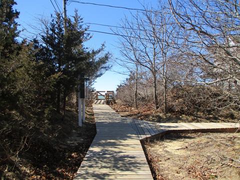 565 Higgins Rd, Eastham, MA 02642 photo 34
