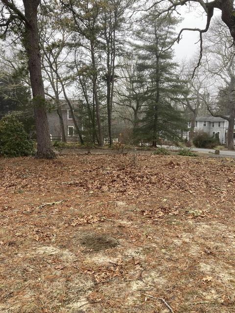 45 Shell Ln, Cotuit, MA 02635 photo 2