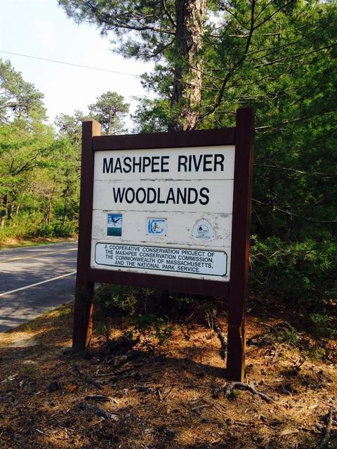 232 Cotuit Rd, Mashpee, MA 02649 photo 6
