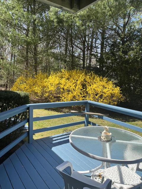 76 Briar Patch Rd, Osterville, MA 02655 photo 29