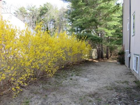 27 Gitche Gumee Rd, Buzzards Bay, MA 02532 photo 4