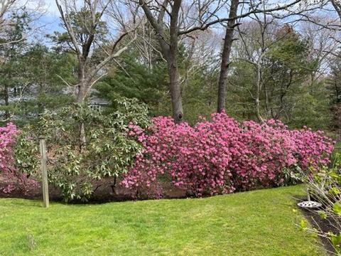 14 Oxner Rd, Centerville, MA 02632 photo 2
