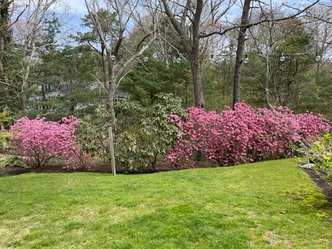 14 Oxner Rd, Centerville, MA 02632 photo 60