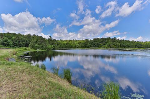 33 Brown St, Wareham, MA 02571 photo 40