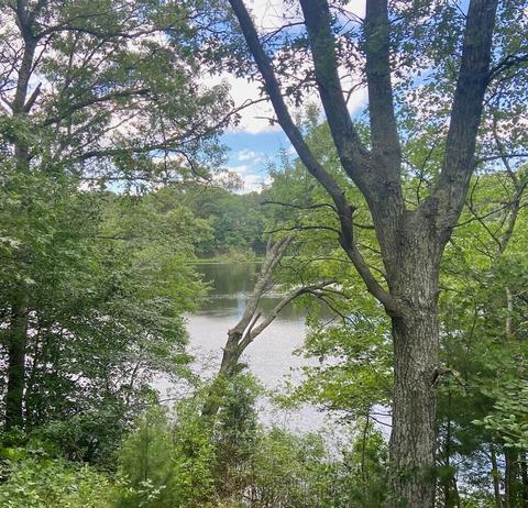 206 School St, Cotuit, MA 02635 photo 5