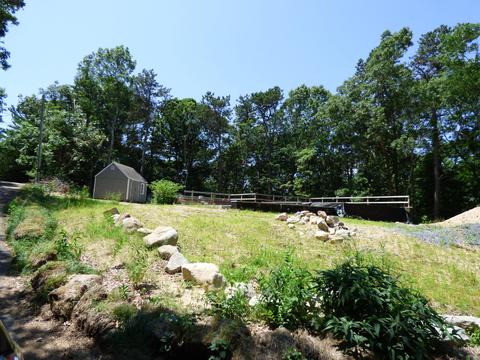 38 Weaver Rd, Centerville, MA 02632 photo 10
