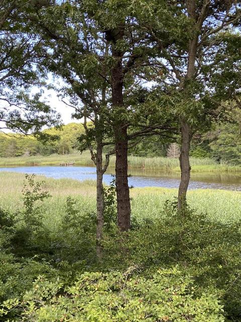 108 Waterside Dr, Centerville, MA 02630 photo 3
