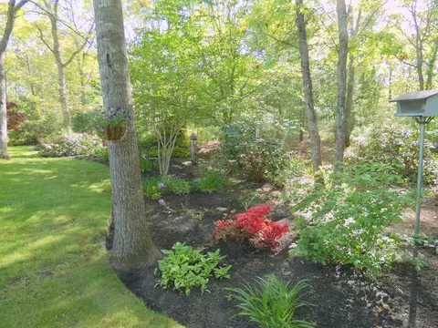 565 Sampsons Mill Rd, Cotuit, MA 02635 photo 60