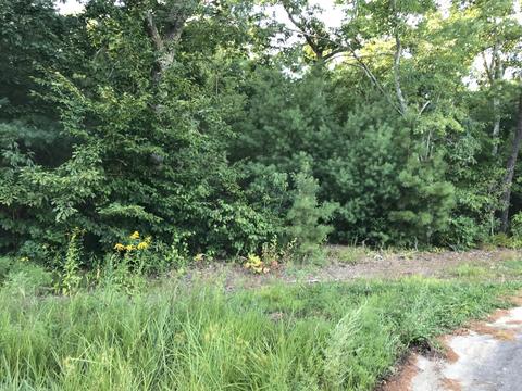 88 Payamps Rd, Mashpee, MA 02649 photo 1