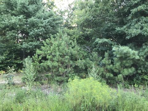 88 Payamps Rd, Mashpee, MA 02649 photo 2