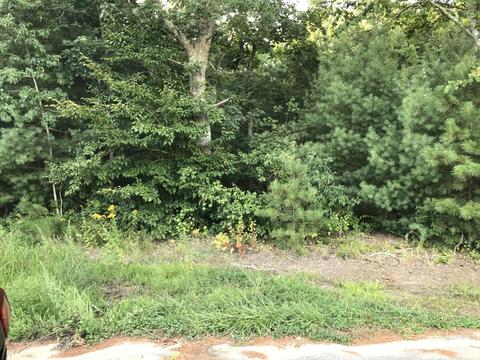 88 Payamps Rd, Mashpee, MA 02649 photo 3