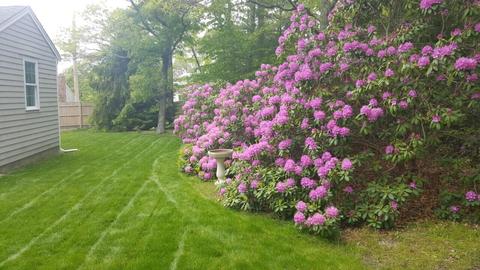 98 Valley Brook Rd, Centerville, MA 02632 photo 24