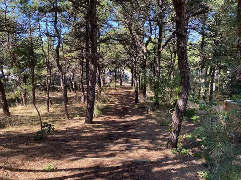 45 Spring Tide Ln, Eastham, MA 02642 photo 38