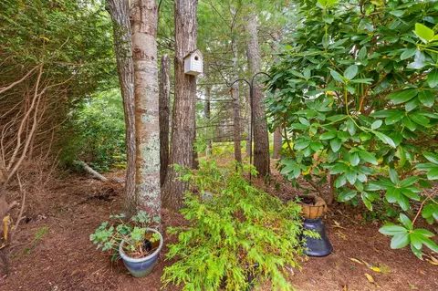 47 Gold Leaf Ln, Mashpee, MA 02649 photo 24