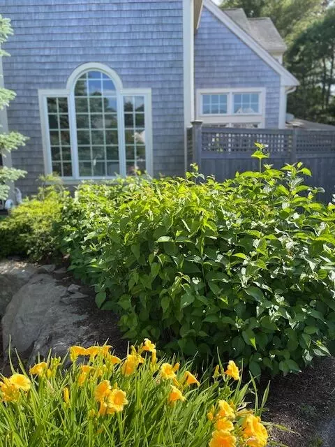 47 Gold Leaf Ln, Mashpee, MA 02649 photo 30
