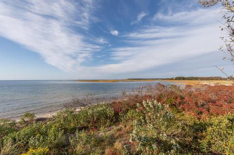 20 Beach Rd, Eastham, MA 02642 photo 23