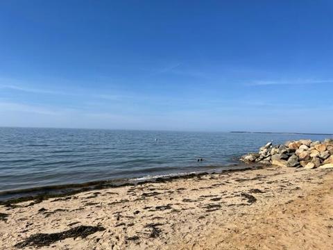 10 Wilma Rd, Eastham, MA 02642 photo 32