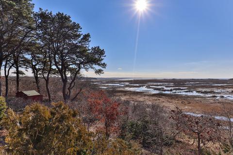 835 Herring Brook Rd, Eastham, MA 02642 photo 35