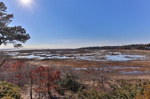 835 Herring Brook Rd, Eastham, MA 02642 photo 36