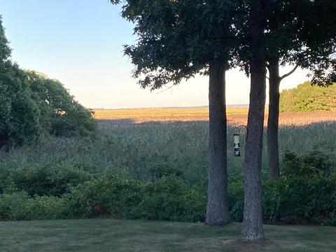 126 Meadow Ln, West Barnstable, MA 02668 photo 49