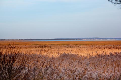 126 Meadow Ln, West Barnstable, MA 02668 photo 48