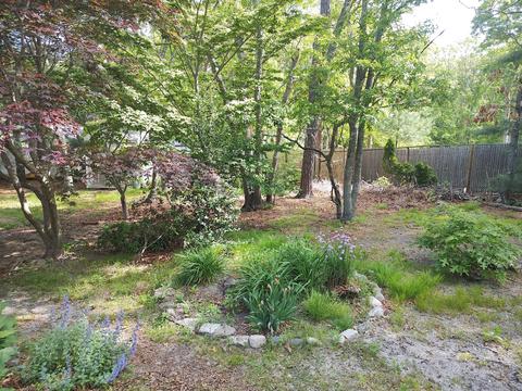 10 Bramblebush Dr, Cotuit, MA 02635 photo 43