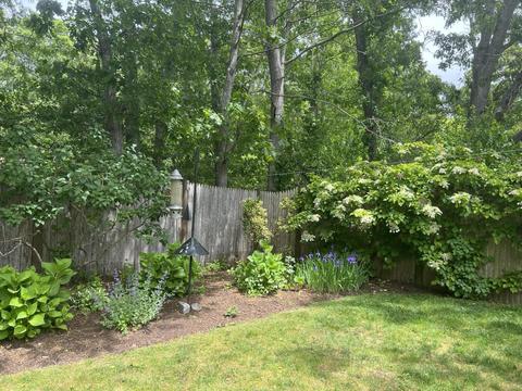 20 Cedar Point Cir, Centerville, MA 02632 photo 7