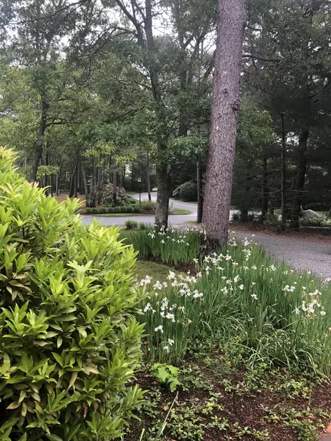 84 M Shellback Way #84, Mashpee, MA 02649 photo 36