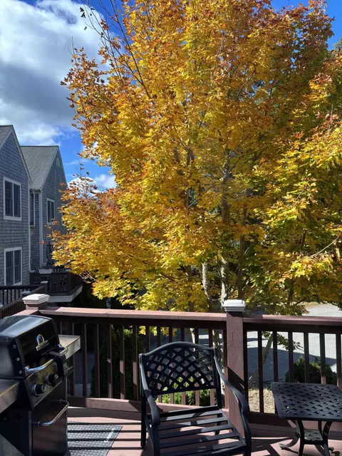 Exterior - 77 Gold Leaf Ln, Mashpee, MA 02649 photo 8 of 8