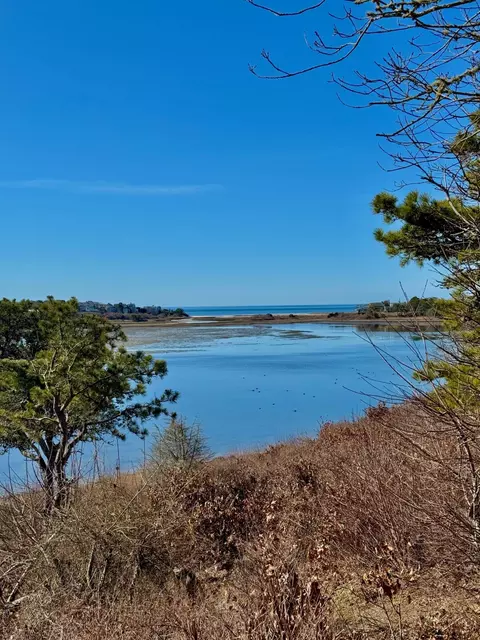 View/Area - 65 Geranium Dr, Chatham, MA 02633 photo 2 of 5